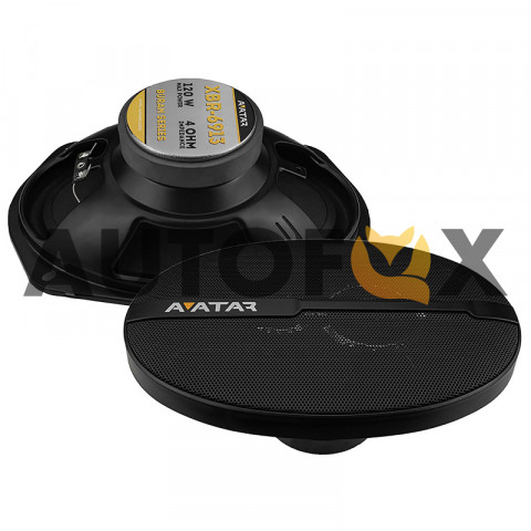 Avatar XBR-6913 (6х9\60Вт)